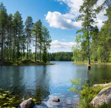 Suomalainen luontomaisema, jossa järveä ja metsää